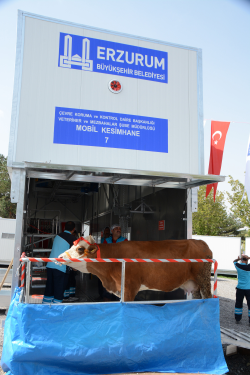 BYKEHRDEN MOBL MEZBAHA UYGULAMASI